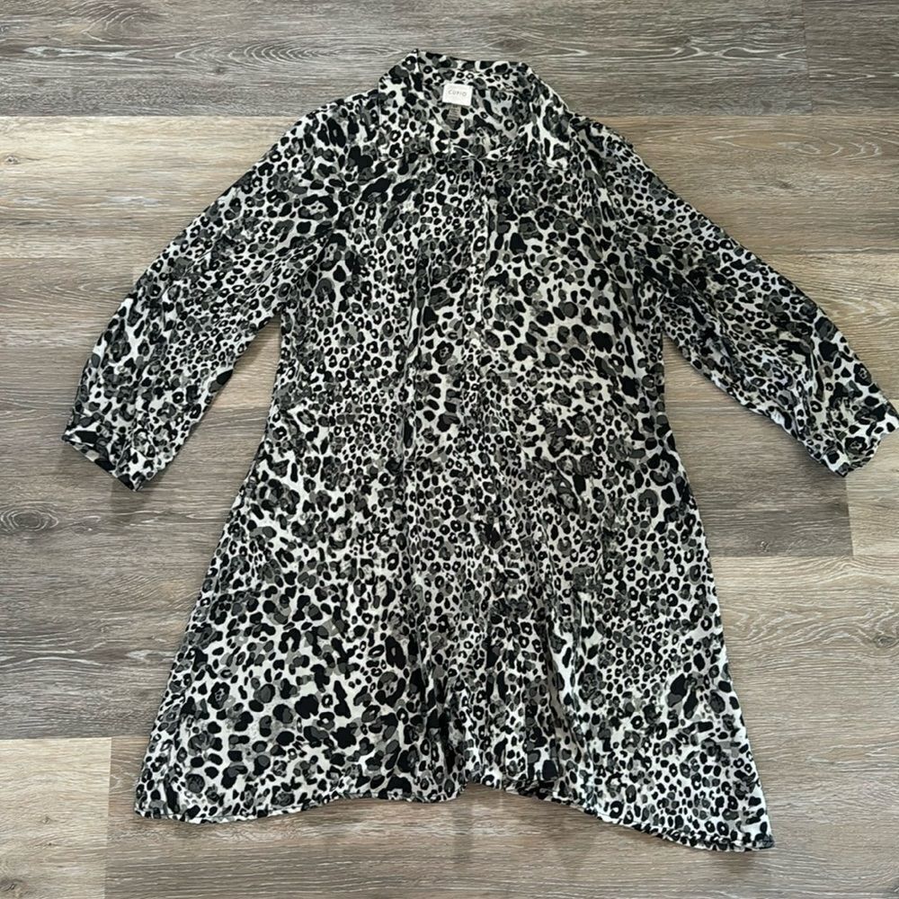 Cupio Shirt Dress
